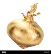 golden-onion-3d-rendering-isolated-on-white-background-2A7ACPP.jpg