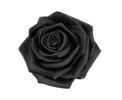 black-rose-single-red-rose-flower-arranging-plant-stem-free-png.png