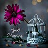 2_good-morning-images-Sohohindi.in_.jpg