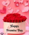 happy-promise-day-wishes-image-846x1024.jpg