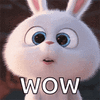 1745946678682.gif