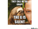 rape-sloth---dr-grape_o_1384725.jpg