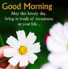 Gdmrng-Sweet-Msg-Dp-Photo.jpg