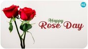 Rose_Day_960_1644147911234_1644147930125.jpg