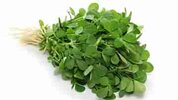 fenugreek-leaves.jpg