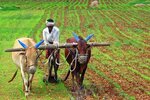 India_Farming_1200.jpg