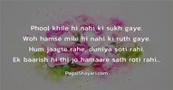 phool-khile-hi-nahi-ki-sukh-gaye-dard-english-shayari.jpg