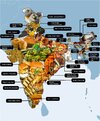 f8bbcf5a8e83e39b2d2166fb1597c569--republic-day-indian-foods.jpg