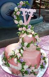 900_650505dP28_victorias-princess-cake.jpg