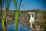 trash-the-dress-06.jpg