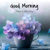 Blue-Purple-Flowers-Good-Morning-Images-Wishes-300x300.png