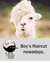 boys-haircut-nowadays-24832332.png