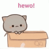 mochi-mochi-peach-cat-box.gif