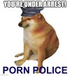 porn police.jpg