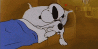 sleepy-gif-2.gif