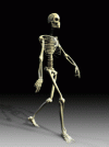 skeletonwa_dklcls6t.gif