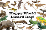 happy_world_lizard_day__by_uranimated18_de38xqc-fullview.jpg