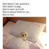 Dog-Sleep-Memes-3.jpg