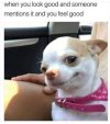 smile-memes-97.jpg