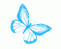 butterfly-blue-butterfly.gif