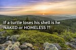 if-a-turtle-loses-his-shell-is-136536-1.jpg