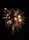 556606208fireworks-animation-39.gif