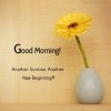 Good-Morning-Quotes-Sunrise-New-Beginning-300x300.jpg