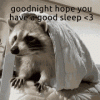 goodnight-sleep.gif